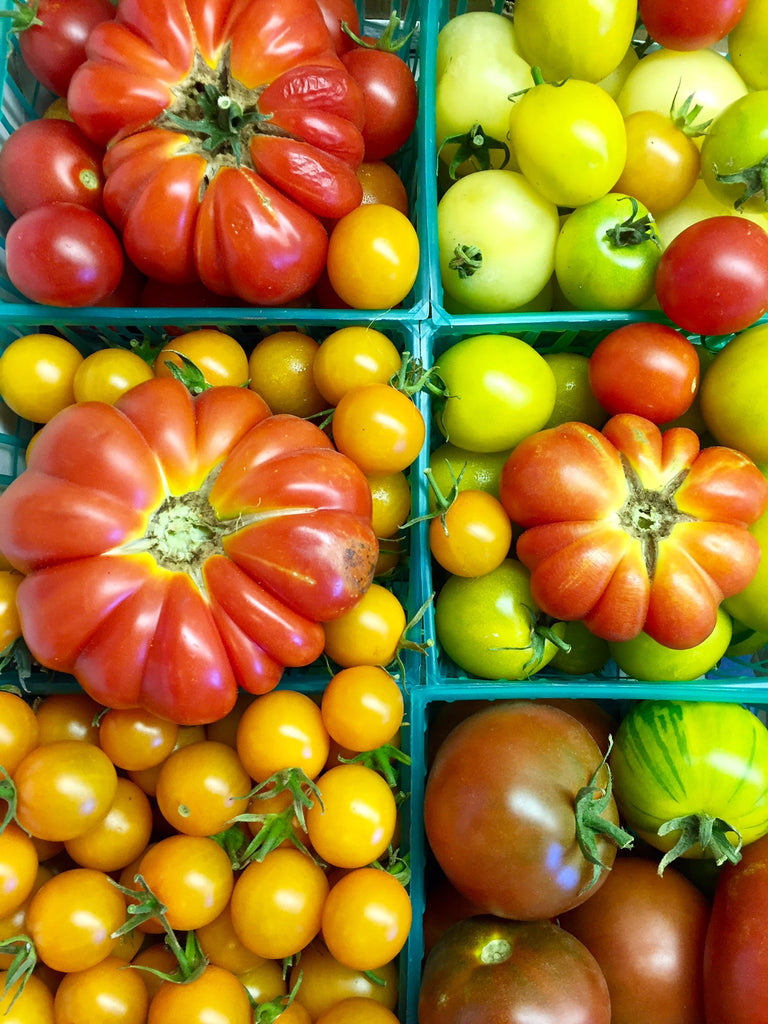 Heirloom Tomato Festival Weekend at Windrose Farm