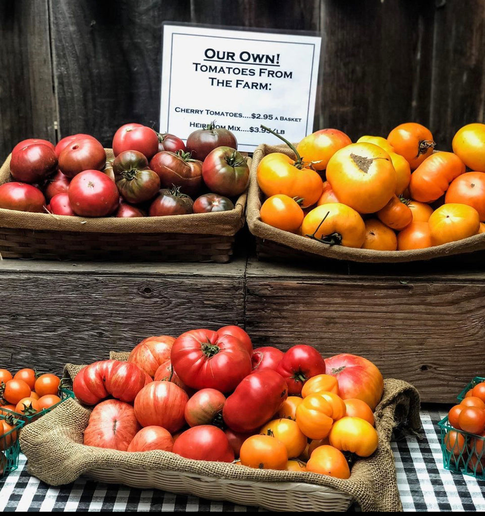 Trail Times: All About Tomatoes, this season's happenings, recipes and more!