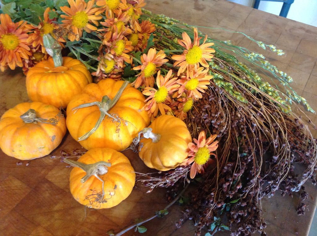 Our cornucopia of agriculture here on the Central Coast