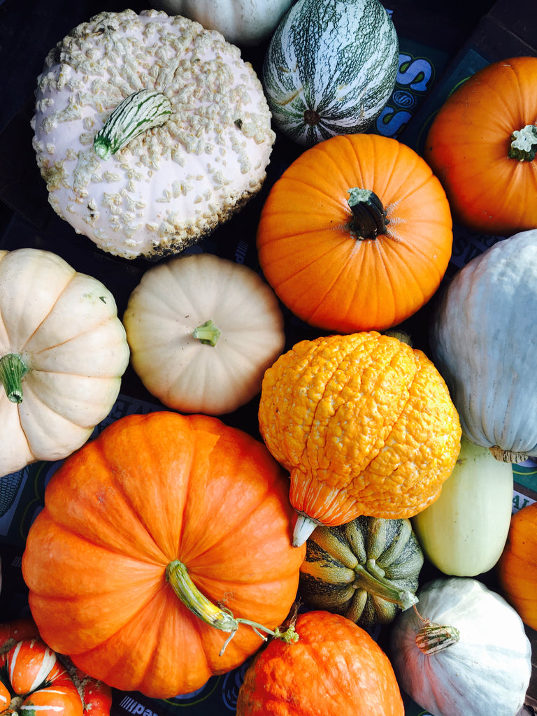 Trail Times:  Fall Happenings along the Trail - PUMPKIN CONTEST