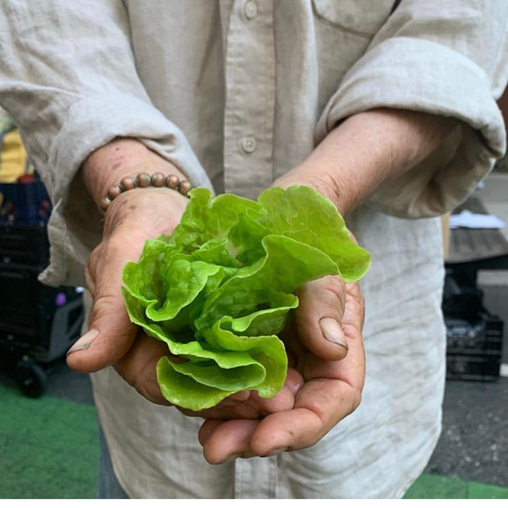 Thank You to the Hands that Feed Us!