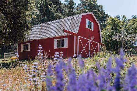 Fall & Holiday Happenings along the SLO Co Farm Trail